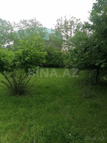 Torpaq - İsmayıllı - 16 sot (2)