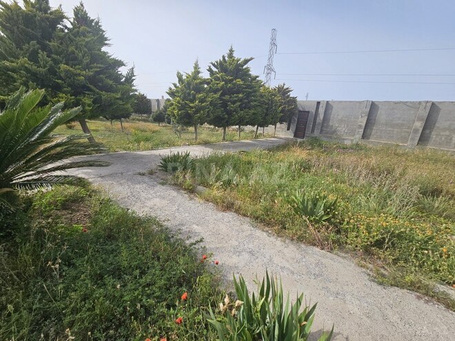 Продаётся  участок 12 сот, пос. Шувеляны, photo 1 from 7