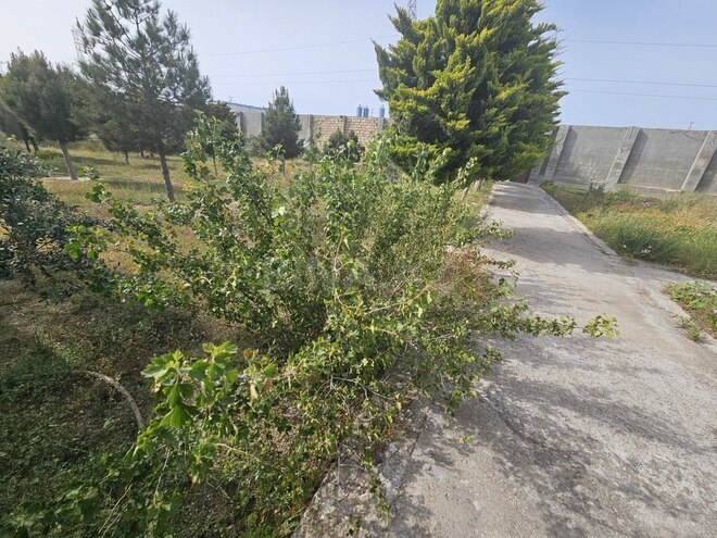 Продаётся  участок 12 сот, пос. Шувеляны, photo 3 from 7