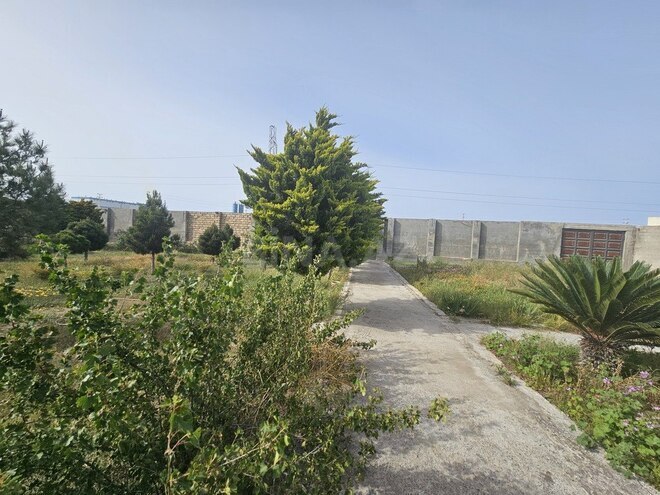 Продаётся  участок 12 сот, пос. Шувеляны, photo 5 from 7