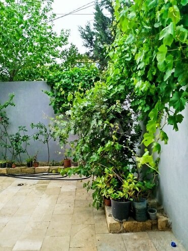 4 otaqlı həyət evi/bağ evi - Novxanı q. - 120 m² (5)