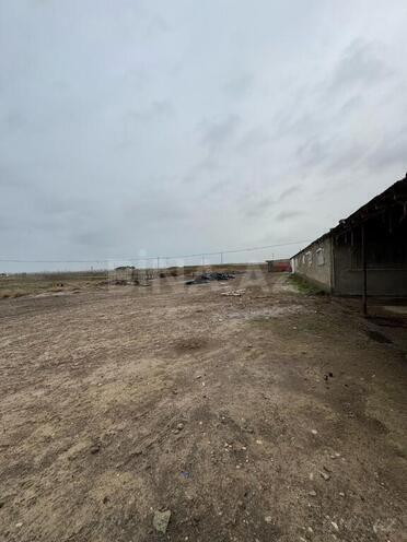 Obyekt - Sumqayıt - 30000 m² (7)
