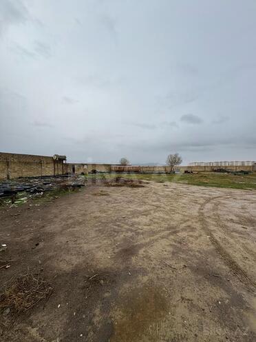 Obyekt - Sumqayıt - 30000 m² (2)