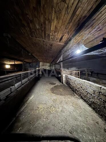 Obyekt - Sumqayıt - 30000 m² (11)