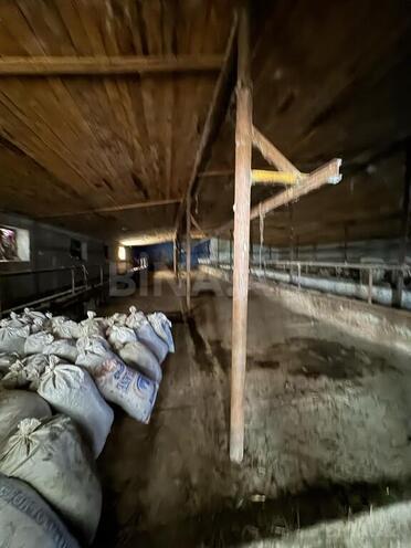Obyekt - Sumqayıt - 30000 m² (12)