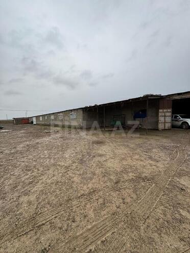 Obyekt - Sumqayıt - 30000 m² (3)
