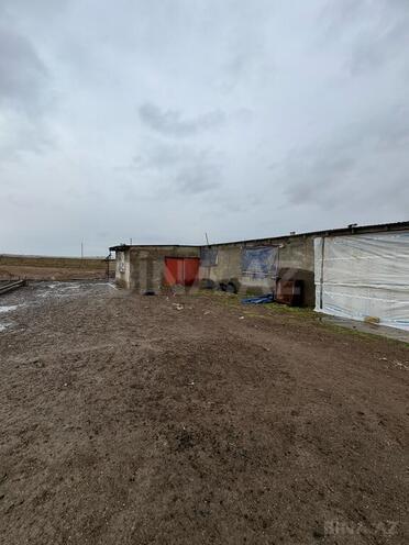 Obyekt - Sumqayıt - 30000 m² (19)