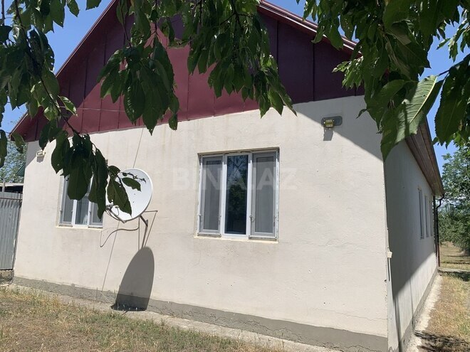 4 otaqlı həyət evi/bağ evi - İsmayıllı - 100 m² (5)