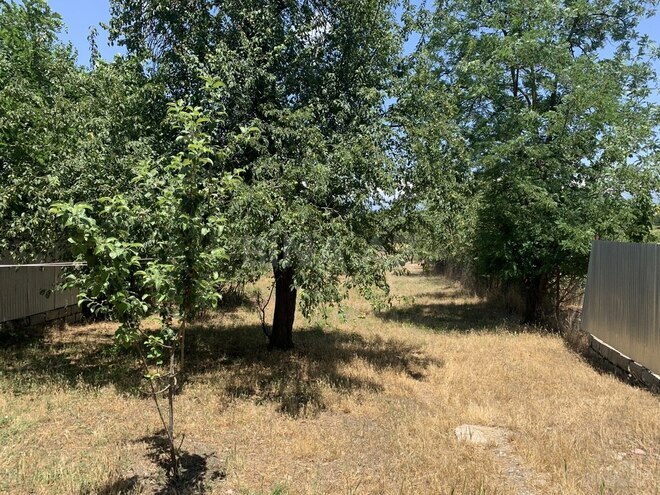 4 otaqlı həyət evi/bağ evi - İsmayıllı - 100 m² (4)