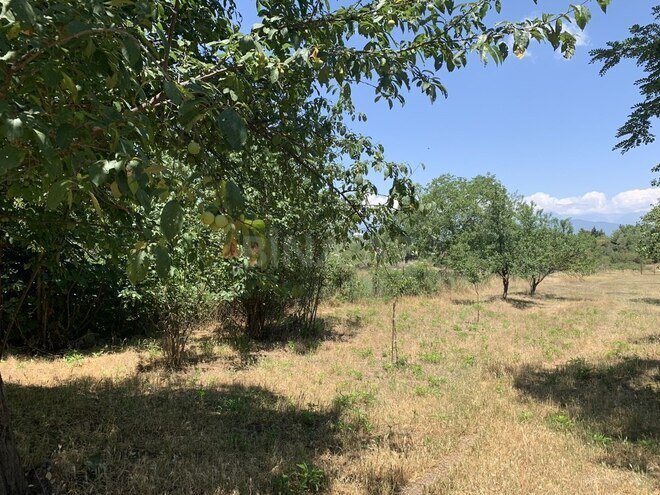 4 otaqlı həyət evi/bağ evi - İsmayıllı - 100 m² (3)