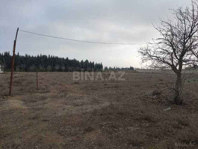 Участок - Самух - 34 сот (8)