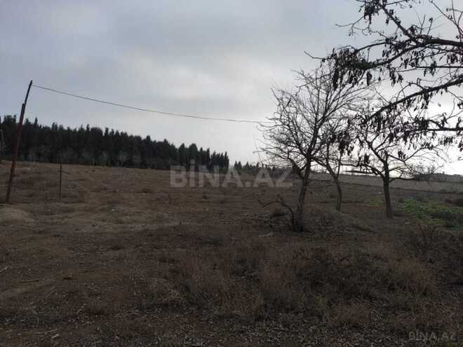 Участок - Самух - 34 сот (7)