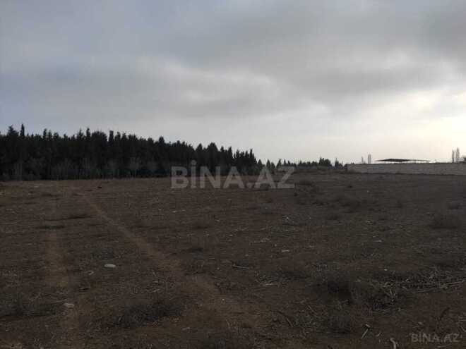 Участок - Самух - 34 сот (15)