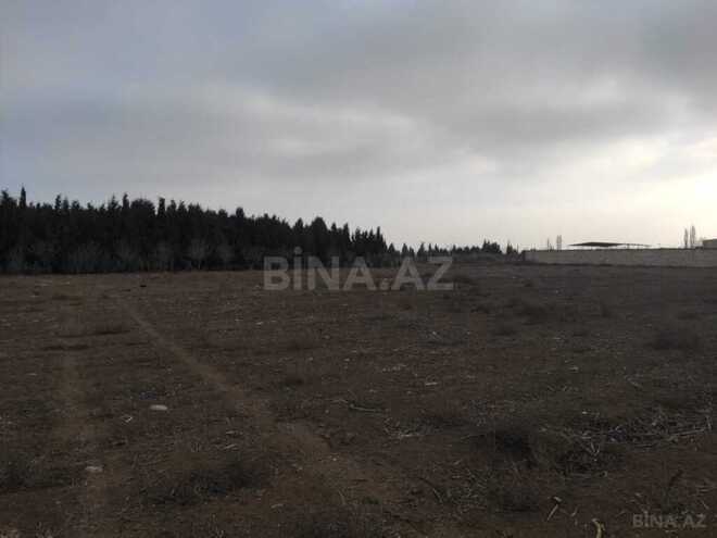 Участок - Самух - 34 сот (13)