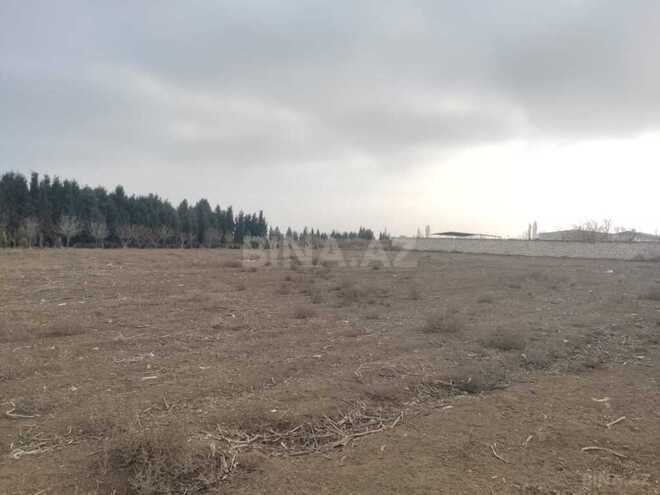 Участок - Самух - 34 сот (11)