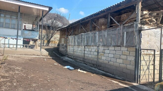 4 otaqlı həyət evi/bağ evi - Oğuz - 180 m² (2)