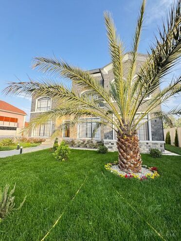 5 otaqlı həyət evi/bağ evi - Mərdəkan q. - 500 m² (9)