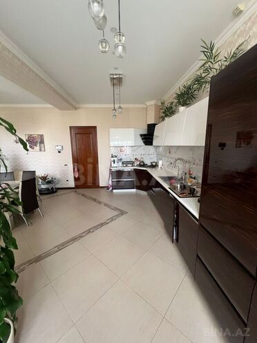 7-комн. новостройка - м. Низами - 373 м² (12)