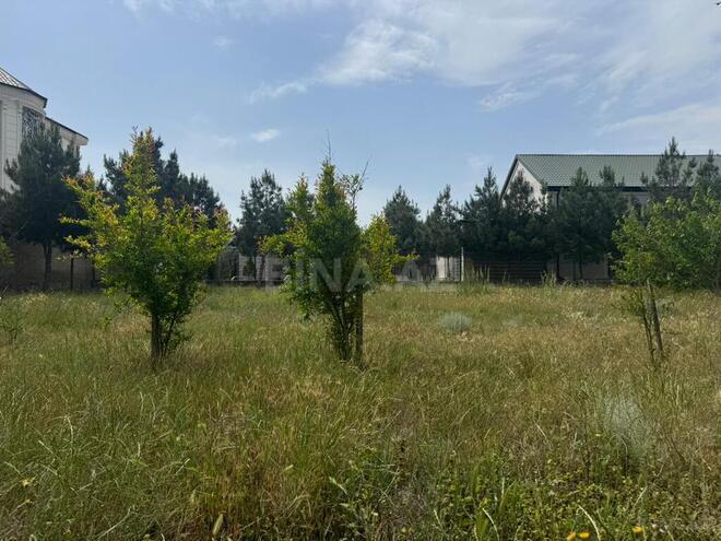 Продаётся  участок 12 сот, пос. Шувеляны, photo 10 from 14