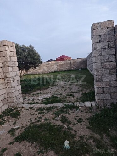 Torpaq - Albalılıq q. - 3 sot (1)
