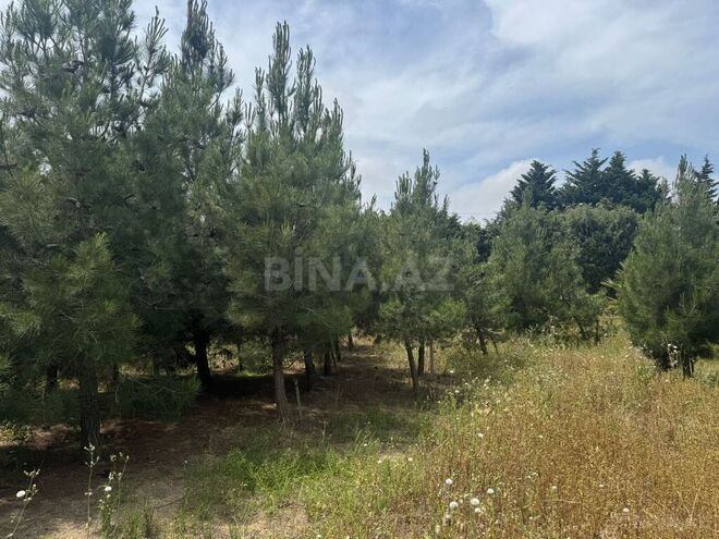 Satılır  torpaq 30 sot, Şüvəlan q., photo 10 from 17