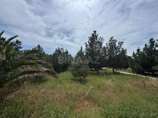 Satılır  torpaq 30 sot, Şüvəlan q., photo 6 from 17