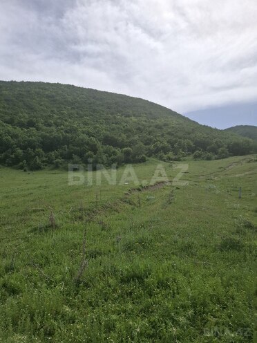Torpaq - Şamaxı - 12 sot (9)