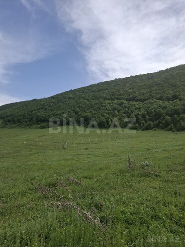Torpaq - Şamaxı - 12 sot (8)
