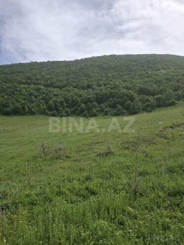 Torpaq - Şamaxı - 12 sot (3)