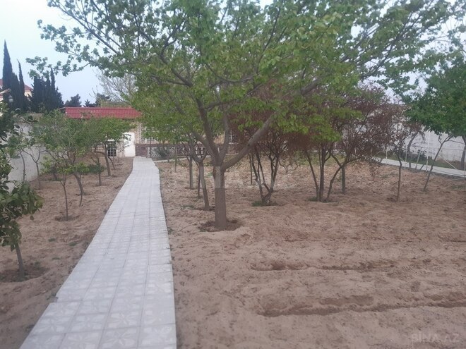 4 otaqlı həyət evi/bağ evi - Novxanı q. - 150 m² (1)
