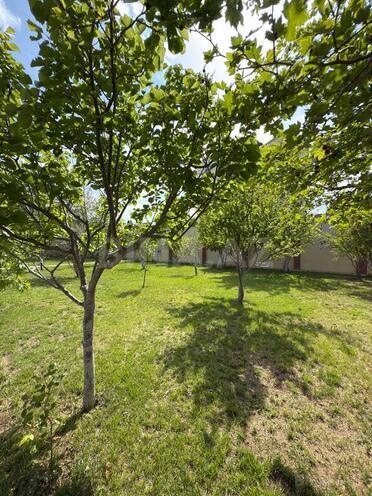 7-комн. дом/дача - пос. Новханы - 350 м² (19)