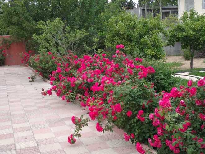 5-комн. дом/дача - пос. Новханы - 240 м² (17)