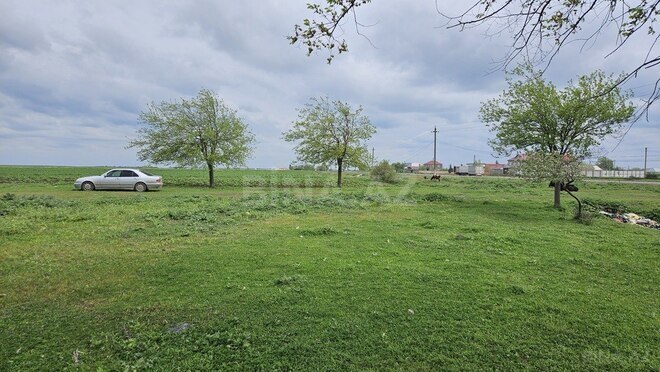 Torpaq - Cəlilabad - 58 sot (1)
