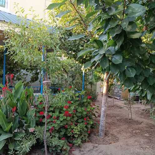 5 otaqlı həyət evi/bağ evi - Buzovna q. - 200 m² (4)