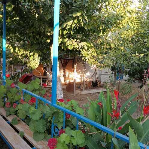 5 otaqlı həyət evi/bağ evi - Buzovna q. - 200 m² (7)