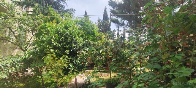 7 otaqlı həyət evi/bağ evi - Azadlıq Prospekti m. - 700 m² (4)