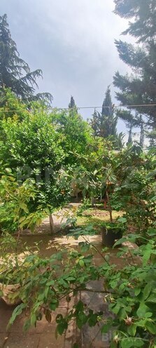7 otaqlı həyət evi/bağ evi - Azadlıq Prospekti m. - 700 m² (25)