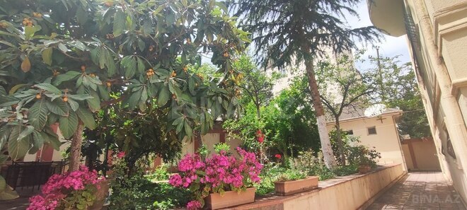 7 otaqlı həyət evi/bağ evi - Azadlıq Prospekti m. - 700 m² (16)
