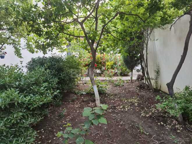 6-комн. дом/дача - м. Ахмедлы - 280 м² (27)