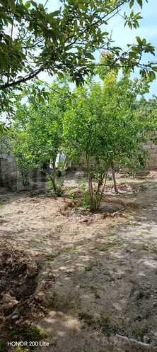 4 otaqlı həyət evi/bağ evi - Maştağa q. - 200 m² (29)