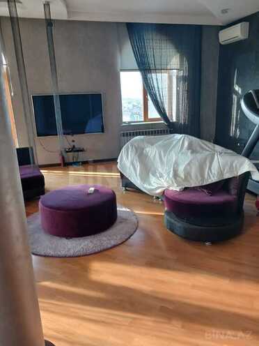 10 otaqlı həyət evi/bağ evi - Badamdar q. - 1000 m² (10)