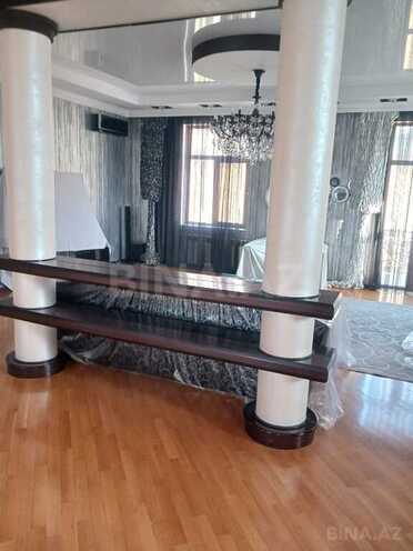 10 otaqlı həyət evi/bağ evi - Badamdar q. - 1000 m² (20)