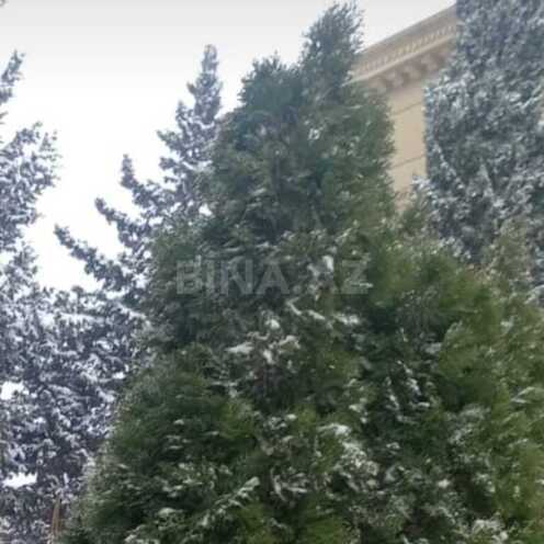 8 otaqlı həyət evi/bağ evi - Badamdar q. - 800 m² (1)