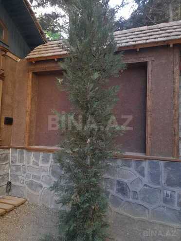 8 otaqlı həyət evi/bağ evi - Badamdar q. - 800 m² (15)