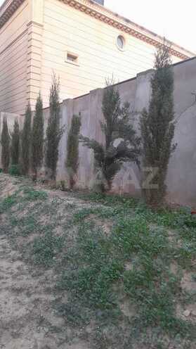 8 otaqlı həyət evi/bağ evi - Badamdar q. - 800 m² (3)