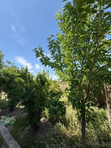 6 otaqlı həyət evi/bağ evi - Hövsan q. - 174 m² (11)