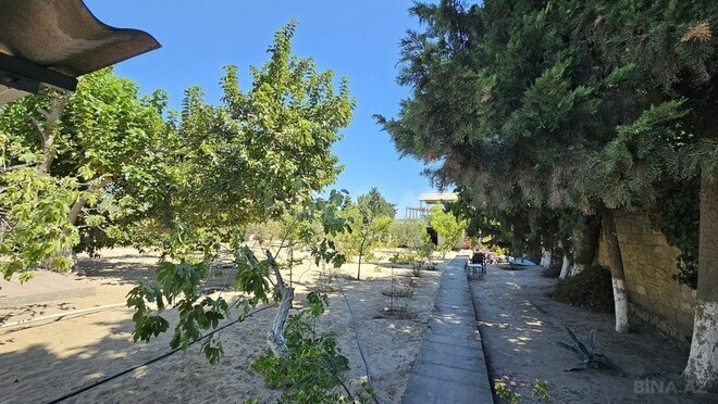 3 otaqlı həyət evi/bağ evi - Nardaran q. - 58 m² (6)