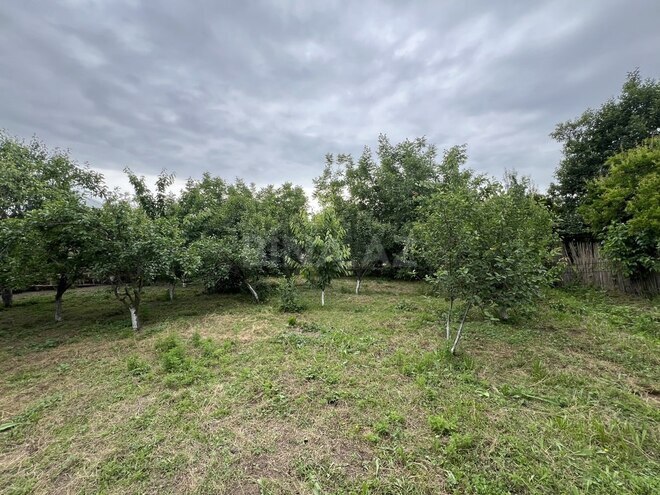 8 otaqlı həyət evi/bağ evi - Goranboy - 200 m² (26)