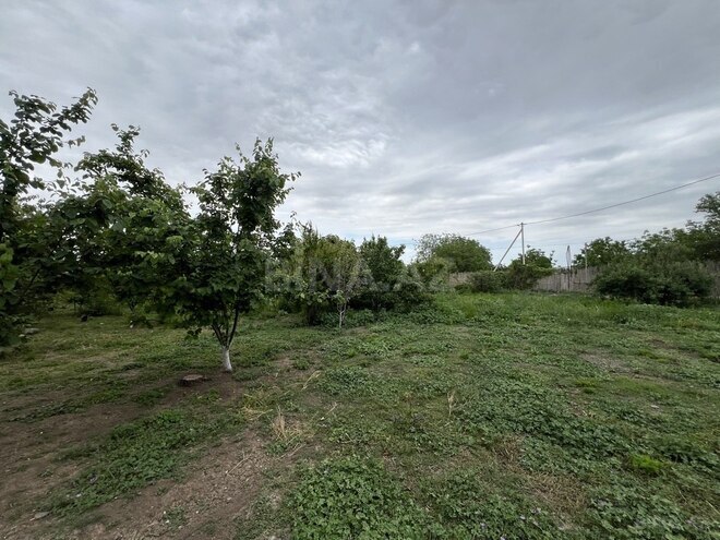 8 otaqlı həyət evi/bağ evi - Goranboy - 200 m² (27)