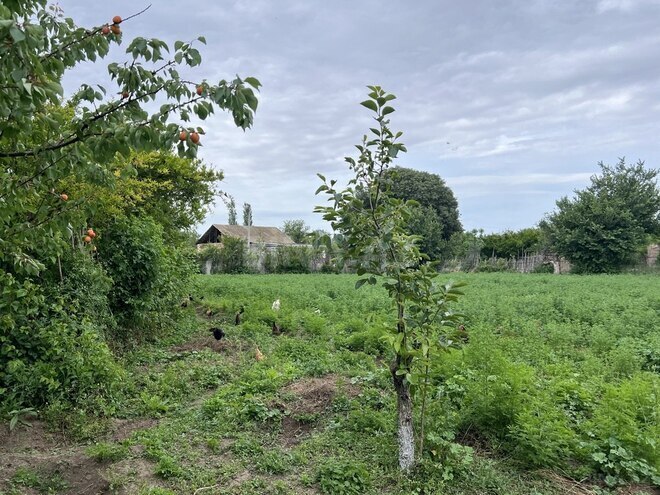8 otaqlı həyət evi/bağ evi - Goranboy - 200 m² (30)